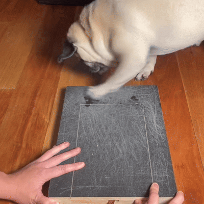 PupNail™ Stress-Free & Pain-Free Nail Board