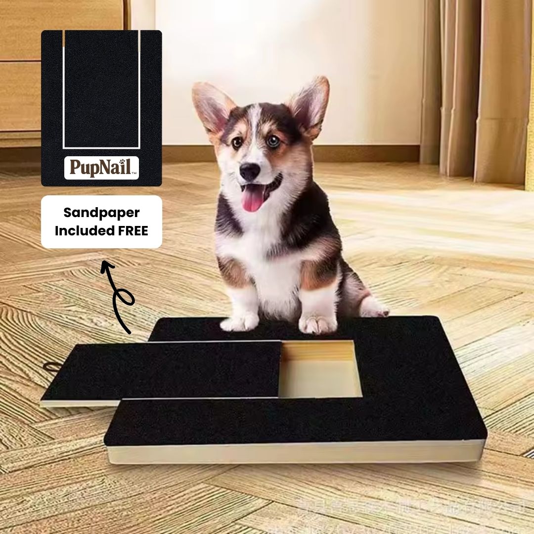 PupNail™ Stress-Free & Pain-Free Nail Board
