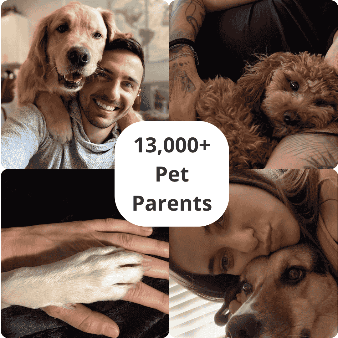 PupNail™ Stress-Free & Pain-Free Nail Board