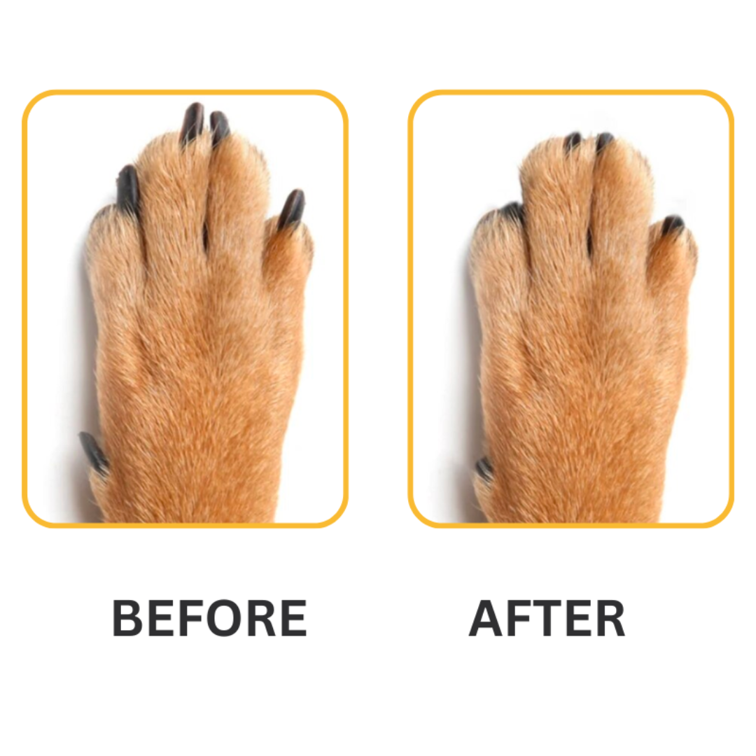 PupNail™ Stress-Free & Pain-Free Nail Board